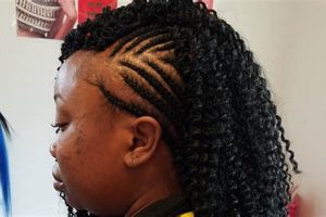 Discover the Secrets of African Hair Braiding in Florissant, MO | Africa Unveiled: Nature, Culture, and History