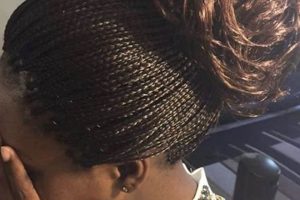 Unveiling the Secrets of African Hair Braiding in Gratiot: Discoveries and Insights for the Braids Niche | Africa Unveiled: Nature, Culture, and History