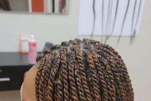 Unlock the Secrets of African Hair Braiding in Gastonia Africa Unveiled: Nature, Culture, and History Unlock the Secrets of African Hair Braiding in Gastonia | Africa Unveiled: Nature, Culture, and History
