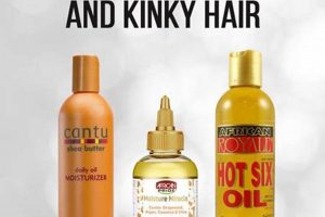 Uncover the Elixir for African American Hair: Discoveries in Hair Oil Decoded Africa Unveiled: Nature, Culture, and History Uncover the Elixir for African American Hair: Discoveries in Hair Oil Decoded | Africa Unveiled: Nature, Culture, and History