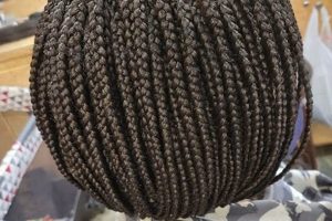 Unveiling the Allure of African Hair Braiding in Lakeland, FL: Your Journey to Enchanting Styles Africa Unveiled: Nature, Culture, and History Unveiling the Allure of African Hair Braiding in Lakeland, FL: Your Journey to Enchanting Styles | Africa Unveiled: Nature, Culture, and History