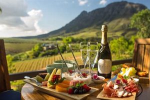 Uncork the Essence of South Africa: A Wine Tour to Remember Africa Unveiled: Nature, Culture, and History Uncork the Essence of South Africa: A Wine Tour to Remember | Africa Unveiled: Nature, Culture, and History