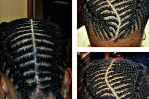 Unlock the Secrets of African Hair Braiding in Summerville, SC Africa Unveiled: Nature, Culture, and History Unlock the Secrets of African Hair Braiding in Summerville, SC | Africa Unveiled: Nature, Culture, and History