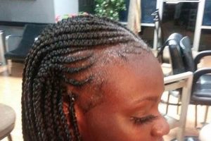 Uncover the Secrets of African Hair Braiding in Mobile, AL Africa Unveiled: Nature, Culture, and History Uncover the Secrets of African Hair Braiding in Mobile, AL | Africa Unveiled: Nature, Culture, and History