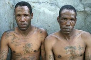 Uncovering the Hidden Truths: South Africa's Gang Problem Exposed | Africa Unveiled: Nature, Culture, and History