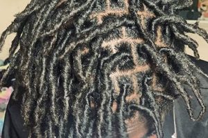Unlock the Secrets of African Hair Braiding in OKC: A Journey of Discovery Africa Unveiled: Nature, Culture, and History Unlock the Secrets of African Hair Braiding in OKC: A Journey of Discovery | Africa Unveiled: Nature, Culture, and History