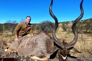 Unveiling the Enchanting World of South African Hunting Safaris Africa Unveiled: Nature, Culture, and History Unveiling the Enchanting World of South African Hunting Safaris | Africa Unveiled: Nature, Culture, and History