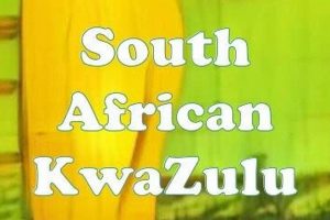 Unveiling the South African KwaZulu Strain: Discoveries and Insights Africa Unveiled: Nature, Culture, and History Unveiling the South African KwaZulu Strain: Discoveries and Insights | Africa Unveiled: Nature, Culture, and History