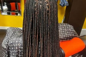 Uncover the Secrets of African Hair Braiding in Riverdale, GA | Africa Unveiled: Nature, Culture, and History