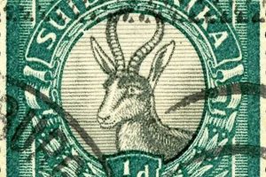 Unveiling the Treasures of South African Stamps: Discoveries and Insights Await Africa Unveiled: Nature, Culture, and History Unveiling the Treasures of South African Stamps: Discoveries and Insights Await | Africa Unveiled: Nature, Culture, and History