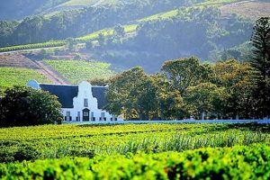 Uncork the Secrets of South African Wine Country: A Journey of Discovery Africa Unveiled: Nature, Culture, and History Uncork the Secrets of South African Wine Country: A Journey of Discovery | Africa Unveiled: Nature, Culture, and History