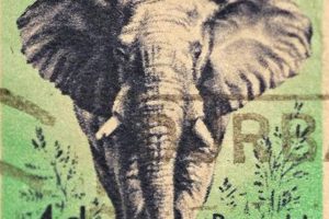 Uncover the Treasures of South African Stamps: Discoveries and Insights Await Africa Unveiled: Nature, Culture, and History Uncover the Treasures of South African Stamps: Discoveries and Insights Await | Africa Unveiled: Nature, Culture, and History