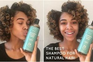 Unveiling the Secrets to Healthy and Beautiful African American Natural Hair: A Comprehensive Guide to Shampoos | Africa Unveiled: Nature, Culture, and History