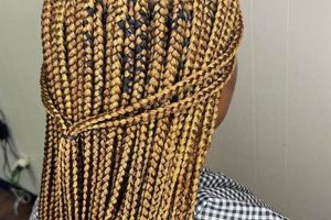 Discover the Enchanting World of African Hair Braiding in Tyler, TX Africa Unveiled: Nature, Culture, and History Discover the Enchanting World of African Hair Braiding in Tyler, TX | Africa Unveiled: Nature, Culture, and History