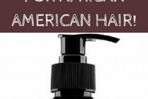 Unleash the Secrets: Sulfate-Free Shampoo for African American Hair Africa Unveiled: Nature, Culture, and History Unleash the Secrets: Sulfate-Free Shampoo for African American Hair | Africa Unveiled: Nature, Culture, and History