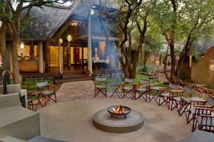 Unveiling Tambuti Lodge: Discoveries in the Heart of South Africa's Wilderness | Africa Unveiled: Nature, Culture, and History