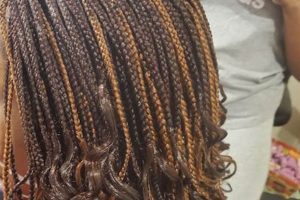 African Hair Braiding Westland: Unveiling the Art of Intricate Styles Africa Unveiled: Nature, Culture, and History African Hair Braiding Westland: Unveiling the Art of Intricate Styles | Africa Unveiled: Nature, Culture, and History