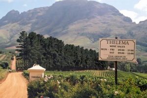 Uncork the Secrets of Thelema Winery: A Journey of Discovery in South Africa's Heart Africa Unveiled: Nature, Culture, and History Uncork the Secrets of Thelema Winery: A Journey of Discovery in South Africa's Heart | Africa Unveiled: Nature, Culture, and History
