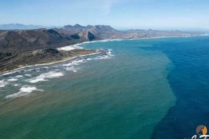 Unlocking the Secrets of Where Two Oceans Converge: South Africa's Marine Marvel Africa Unveiled: Nature, Culture, and History Unlocking the Secrets of Where Two Oceans Converge: South Africa's Marine Marvel | Africa Unveiled: Nature, Culture, and History