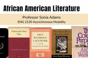 Unveil the Literary Brilliance of African American Authors 2023 Africa Unveiled: Nature, Culture, and History Unveil the Literary Brilliance of African American Authors 2023 | Africa Unveiled: Nature, Culture, and History