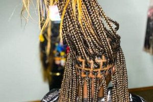 Uncover the Allure of Ceci African Hair Braiding: A Journey of Discovery | Africa Unveiled: Nature, Culture, and History