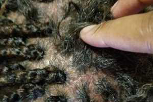 Discover the Enchanting World of Delphine African Hair Braiding | Africa Unveiled: Nature, Culture, and History