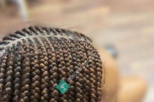 Unravel the Secrets and Embrace the Beauty of Desiree African Hair Braiding | Africa Unveiled: Nature, Culture, and History