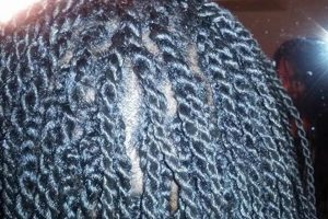 Unveiling the Secrets of African Hair Braiding Mastery: Discover Didi's Expertise Africa Unveiled: Nature, Culture, and History Unveiling the Secrets of African Hair Braiding Mastery: Discover Didi's Expertise | Africa Unveiled: Nature, Culture, and History
