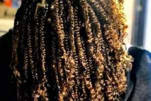 Discover the Enchanting World of African Euphoria Braiding: A Journey of Beauty and Empowerment Africa Unveiled: Nature, Culture, and History Discover the Enchanting World of African Euphoria Braiding: A Journey of Beauty and Empowerment | Africa Unveiled: Nature, Culture, and History