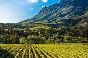 Uncover the Enchanting World of B&Bs in Stellenbosch, South Africa Africa Unveiled: Nature, Culture, and History Uncover the Enchanting World of B&Bs in Stellenbosch, South Africa | Africa Unveiled: Nature, Culture, and History