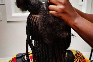 Unveiling the Haven of Beauty: Discover the Allure of African Hair Braiding Africa Unveiled: Nature, Culture, and History Unveiling the Haven of Beauty: Discover the Allure of African Hair Braiding | Africa Unveiled: Nature, Culture, and History