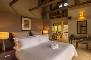 Unveil the Enchanting Baobab Ridge: A South African Oasis of Wonders Africa Unveiled: Nature, Culture, and History Unveil the Enchanting Baobab Ridge: A South African Oasis of Wonders | Africa Unveiled: Nature, Culture, and History