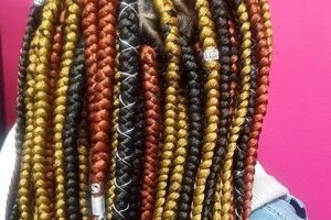 Jara African Hair Braiding Africa Unveiled: Nature, Culture, and History Jara African Hair Braiding | Africa Unveiled: Nature, Culture, and History