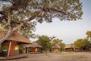 Discover the Enchanting Wilderness of Shindzela Tented Camp in South Africa | Africa Unveiled: Nature, Culture, and History