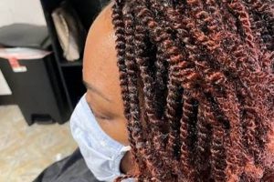 Unveiling the Secrets of African Hair Braiding in Clarksville, TN | Africa Unveiled: Nature, Culture, and History