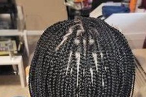 Unlock the Secrets of African Hair Braiding in Colorado Springs, CO | Africa Unveiled: Nature, Culture, and History