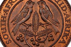 Uncover the Hidden Treasures: Discover the True Worth of South African Coins Africa Unveiled: Nature, Culture, and History Uncover the Hidden Treasures: Discover the True Worth of South African Coins | Africa Unveiled: Nature, Culture, and History