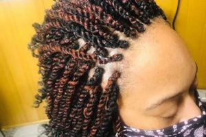 Unravel the Secrets of Splendid African Hair Braiding: Discoveries and Insights Await | Africa Unveiled: Nature, Culture, and History