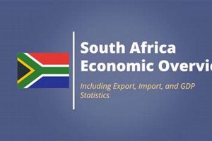 Unveiling the Secrets of South Africa's Commodity Trading: Discoveries and Insights | Africa Unveiled: Nature, Culture, and History