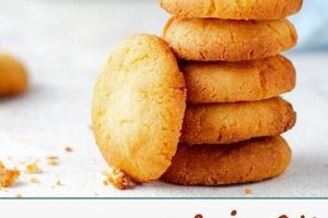 Unveiling the Delights of South African Cookies: A Culinary Journey of Flavors and Traditions | Africa Unveiled: Nature, Culture, and History