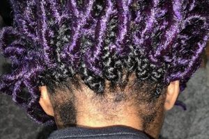 Unveiling the Secrets of Teza Africa Braiding Salon: A Journey into African Hair Artistry Africa Unveiled: Nature, Culture, and History Unveiling the Secrets of Teza Africa Braiding Salon: A Journey into African Hair Artistry | Africa Unveiled: Nature, Culture, and History