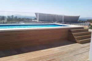 Unveiling the Allure of Designer Pools South Africa | Africa Unveiled: Nature, Culture, and History