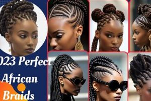 Unveiling the Secrets of Abeeba African Hair Braiding: Discoveries and Insights | Africa Unveiled: Nature, Culture, and History