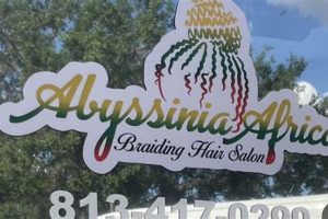 Unveil the Secrets of Exquisite Braids at Abyssinia Africa Hair Braiding Salon | Africa Unveiled: Nature, Culture, and History