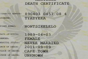 Unlock the Secrets: Birth Registration in South Africa Unveiled Africa Unveiled: Nature, Culture, and History Unlock the Secrets: Birth Registration in South Africa Unveiled | Africa Unveiled: Nature, Culture, and History