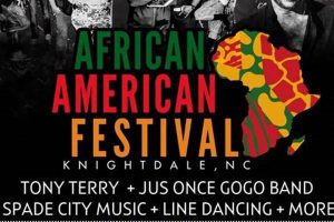 Unveiling the Akron African American Festival 2024: A Journey of Discovery and Celebration | Africa Unveiled: Nature, Culture, and History