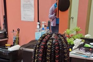 Uncover the Allure of African Braiding in Albany, NY: A Journey of Beauty and Protection Africa Unveiled: Nature, Culture, and History Uncover the Allure of African Braiding in Albany, NY: A Journey of Beauty and Protection | Africa Unveiled: Nature, Culture, and History