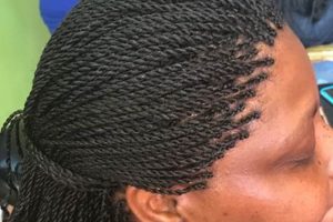 Discover the Enchanting World of African Braiding in Dallas Africa Unveiled: Nature, Culture, and History Discover the Enchanting World of African Braiding in Dallas | Africa Unveiled: Nature, Culture, and History