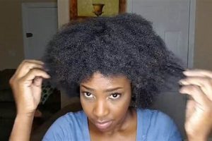 Discover The Ultimate Guide to Detangling African American Hair: Unlock Healthy, Manageable Locks Africa Unveiled: Nature, Culture, and History Discover The Ultimate Guide to Detangling African American Hair: Unlock Healthy, Manageable Locks | Africa Unveiled: Nature, Culture, and History