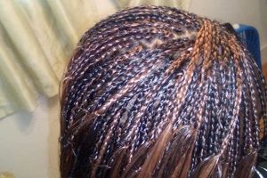 Uncover the World of African Braiding in Little Rock: A Journey into Culture and Style Africa Unveiled: Nature, Culture, and History Uncover the World of African Braiding in Little Rock: A Journey into Culture and Style | Africa Unveiled: Nature, Culture, and History